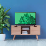 24” Class 720P HD Roku Smart Television, 100012590